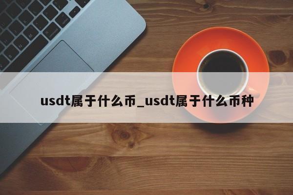 usdt属于什么币_usdt属于什么币种