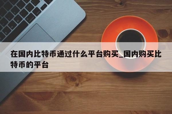 在国内比特币通过什么平台购买_国内购买比特币的平台