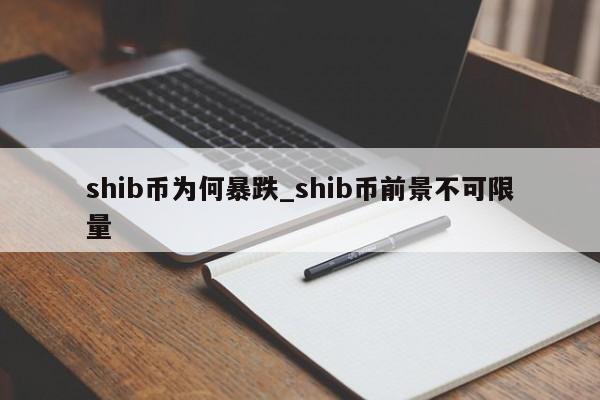 shib币为何暴跌_shib币前景不可限量
