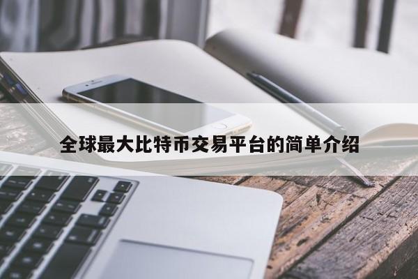 全球最大比特币交易平台的简单介绍