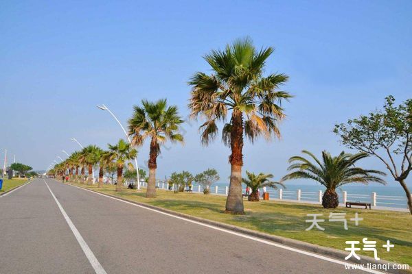 厦门有什么好玩的(厦门有什么好玩的地方旅游景点免费)