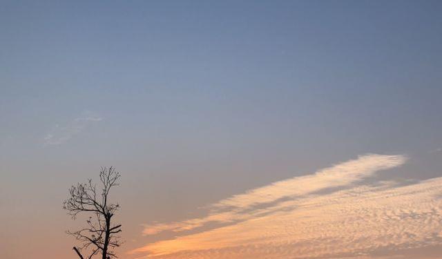 酉初是几点(酉初是几点钟怎么读)