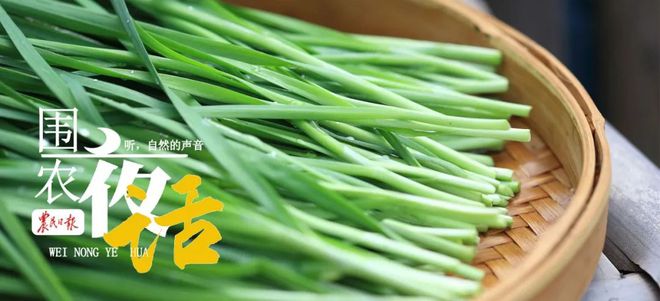 一畦春韭绿下一句(一畦春韭绿,下一句) 一畦春韭绿下一句(一畦春韭绿,下一句)