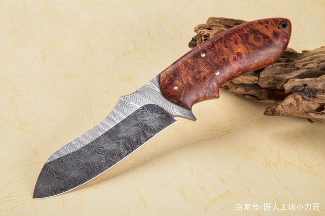 中国十大菜刀排名(中国十大菜刀排名品牌)