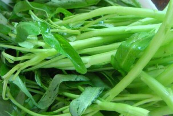 十大清肠排便食物(肠胃清道夫就是这十大清肠排便食物) 十大清肠排便食物(肠胃清道夫就是这十大清肠排便食物)