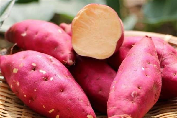 十大清肠排便食物(肠胃清道夫就是这十大清肠排便食物) 十大清肠排便食物(肠胃清道夫就是这十大清肠排便食物)