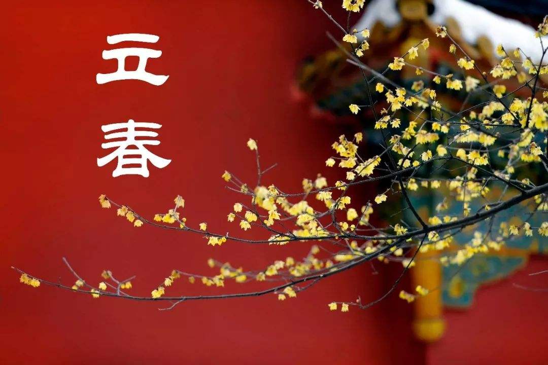 立春哪一天(立春哪一天不可以回娘家吗) 立春哪一天(立春哪一天不可以回娘家吗)