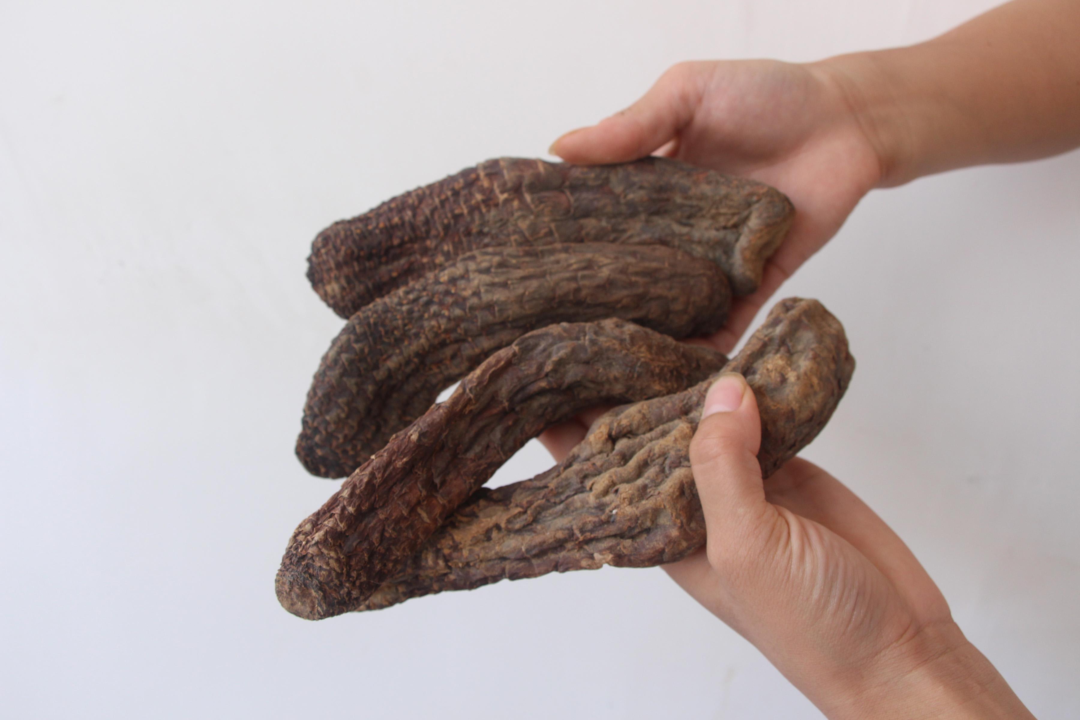 肉苁蓉泡酒(肉苁蓉泡酒是切片好还是整根好)