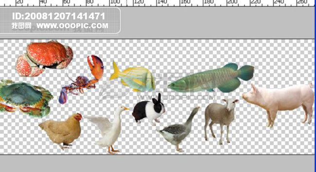 六畜指的是什么(六畜指的是什么怎么读)