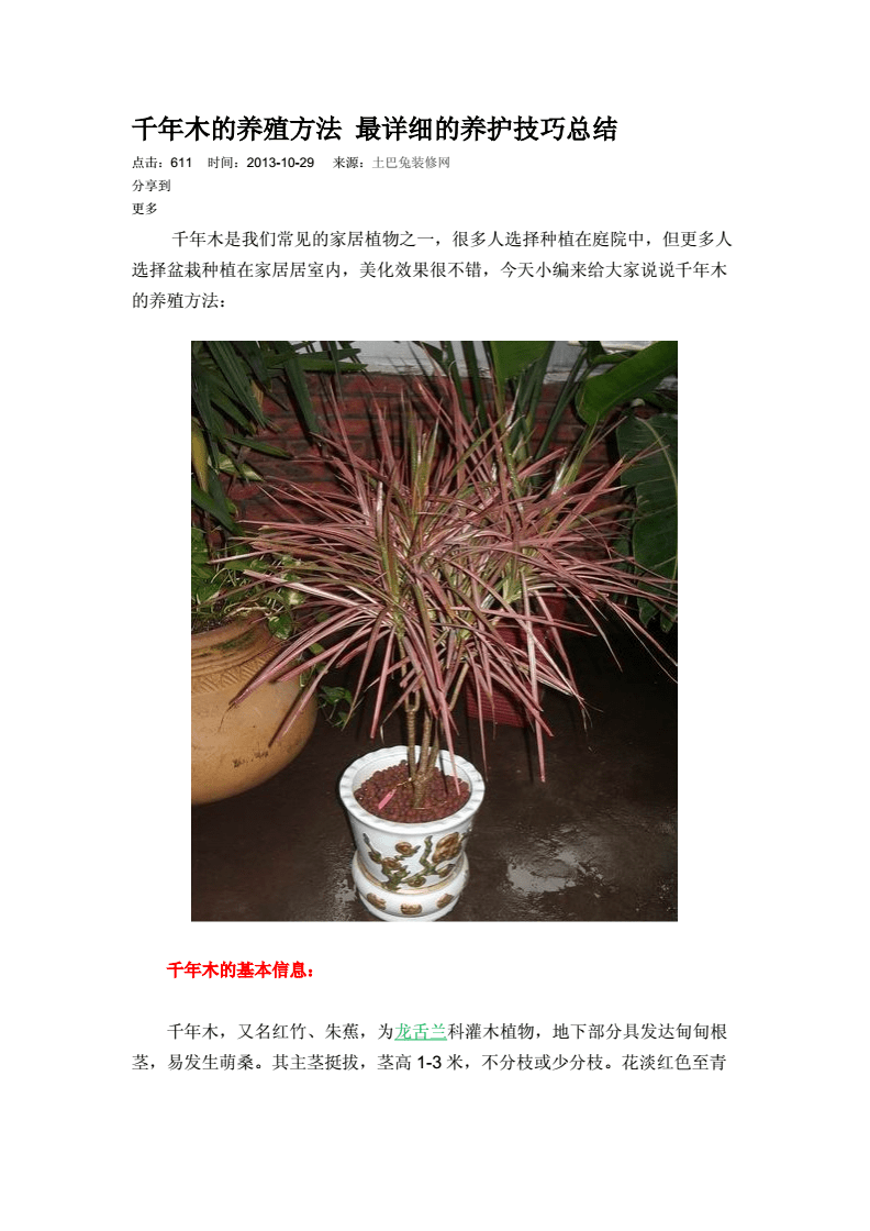 千年木的养殖方法和注意事项(三色千年木的养殖方法和注意事项)