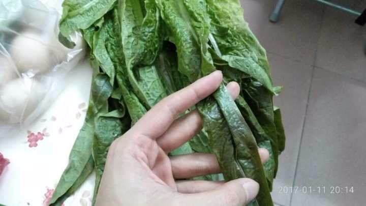 油麦是什么意思(油麦是什么意思网络)