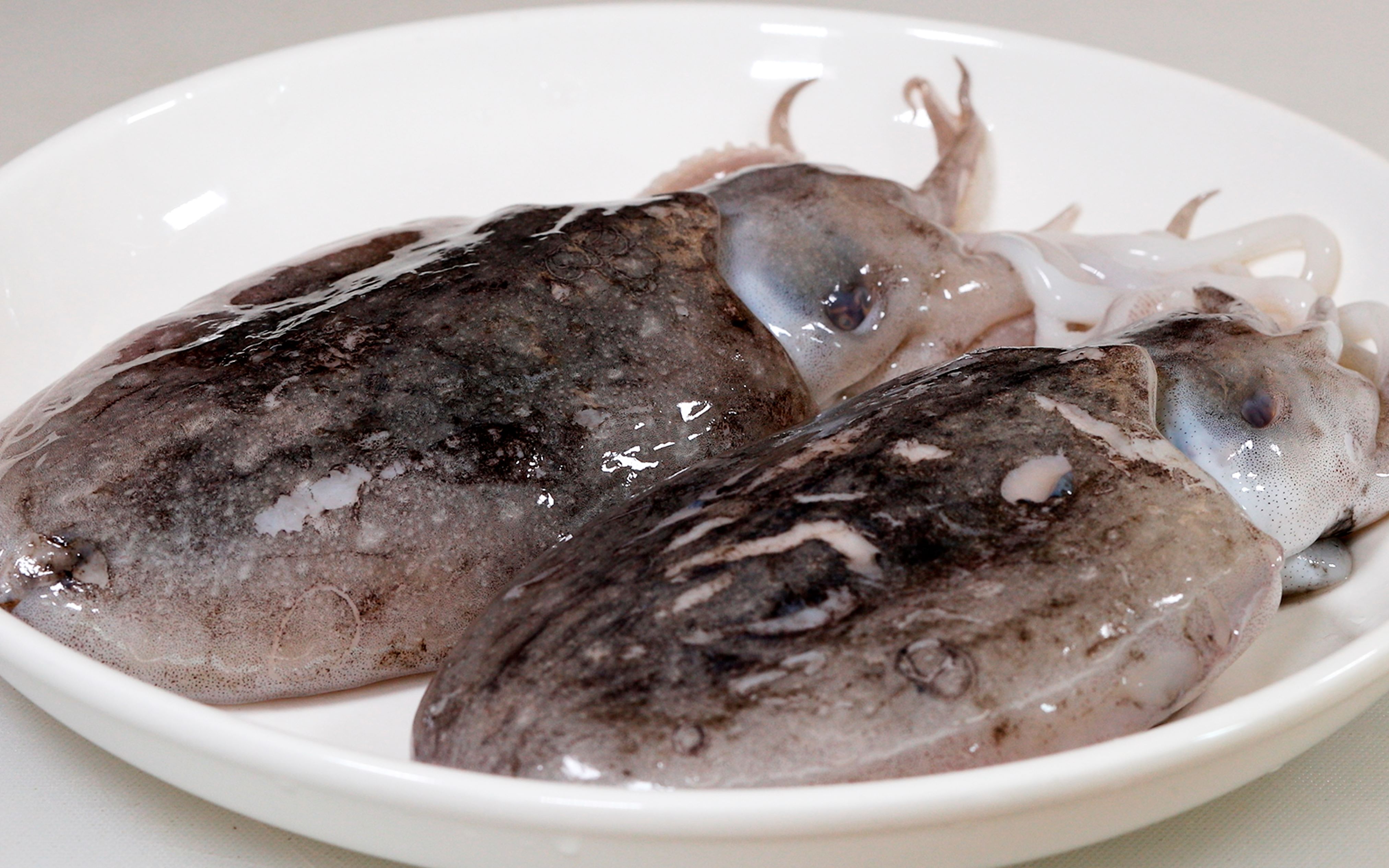 墨鱼怎么做才好吃(墨鱼怎么做才好吃又简单)