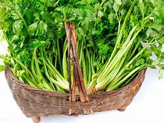 美白食品(美白食品有哪些)