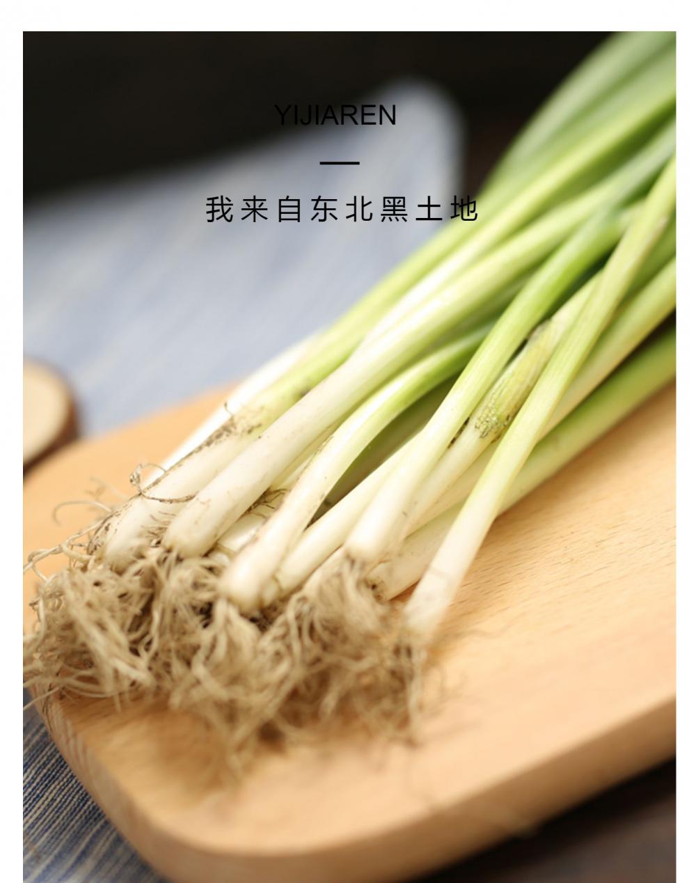 发芽葱(发芽葱怎么栽培) 发芽葱(发芽葱怎么栽培)