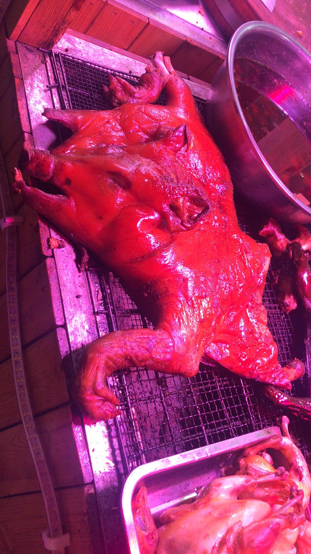 烤香猪(烤香猪怎么吃最好)