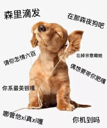 土嗨什么意思(土嗨是贬义词吗)