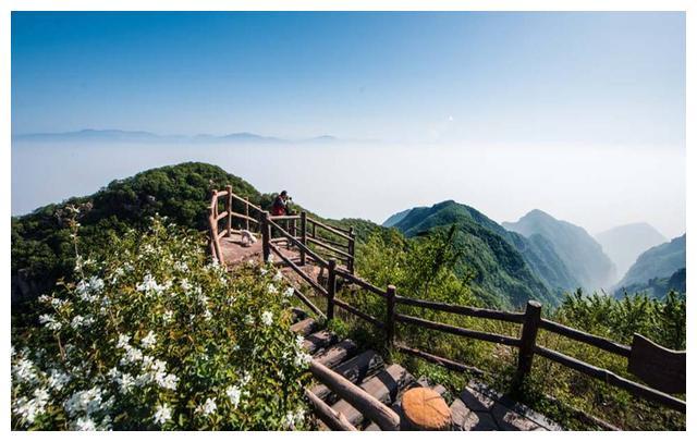 郑州免费旅游景点(郑州免费旅游景点大全排名) 郑州免费旅游景点(郑州免费旅游景点大全排名)