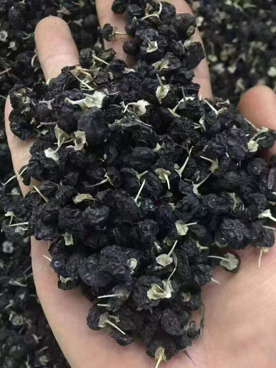 黑枸杞子的功效(黑枸杞子的功效与作用及食用方法) 黑枸杞子的功效(黑枸杞子的功效与作用及食用方法)