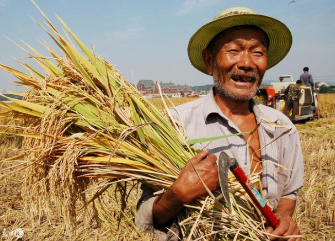 三农是什么(农业银行面向三农的具体三农是什么) 三农是什么(农业银行面向三农的具体三农是什么)