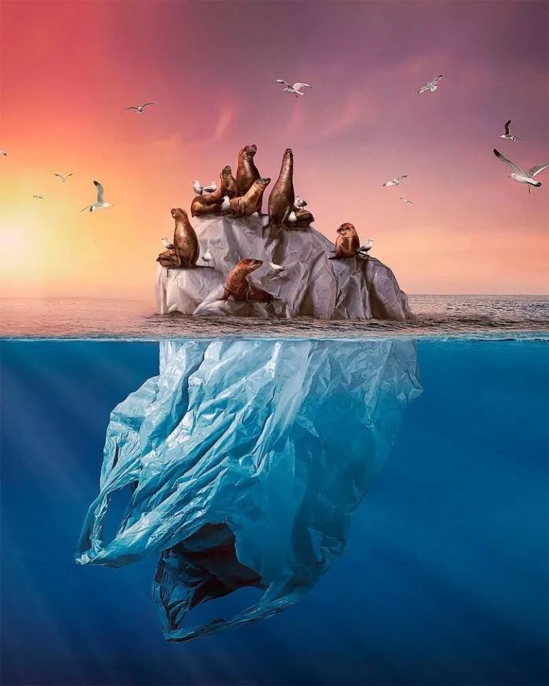 全球变暖的后果(全球变暖的后果及应对措施)