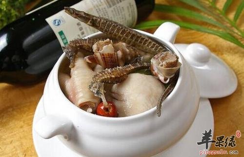 海马的功效与作用吃法(海马的功效与作用吃法图片)