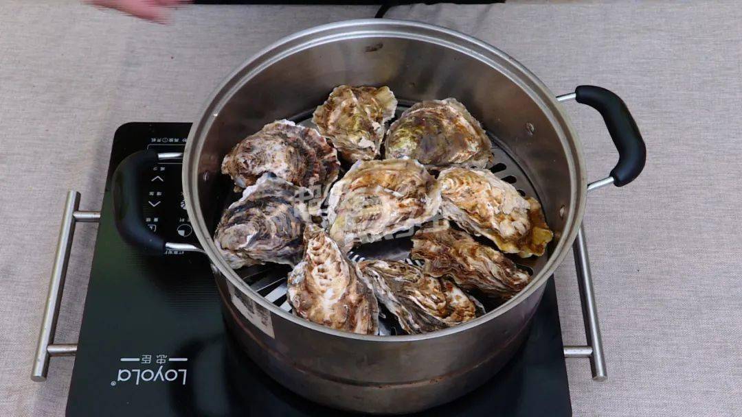 带壳清蒸生蚝多少分钟(生蚝不撬开能直接蒸吗?)