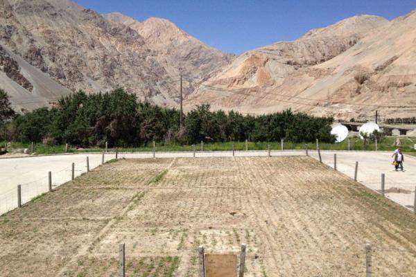 亩换算(亩换算成公顷是多少)