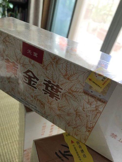 细天叶(细天叶图片)
