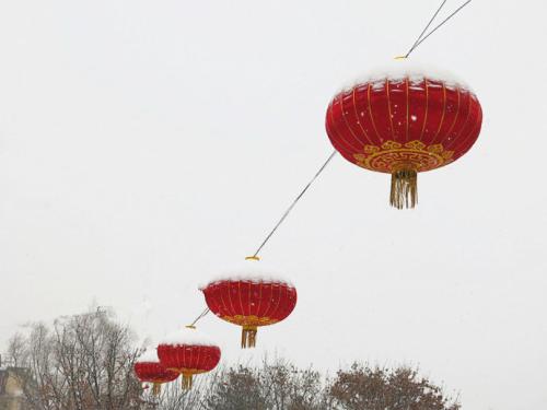 农历二十五(农历二十五出生的人命运)