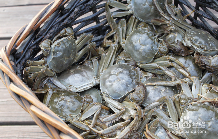 海蟹如何保鲜存放(海蟹如何保鲜存放几天最好) 海蟹如何保鲜存放(海蟹如何保鲜存放几天最好)