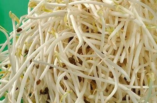 绿豆芽的营养价值(绿豆芽的营养价值视频) 绿豆芽的营养价值(绿豆芽的营养价值视频)