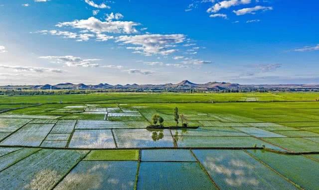 鱼米之乡是哪里(真正的鱼米之乡是哪里)