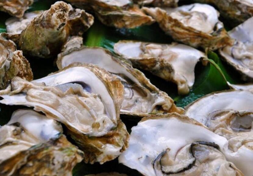 生蚝能放多久(生蚝能放多久不会死掉)