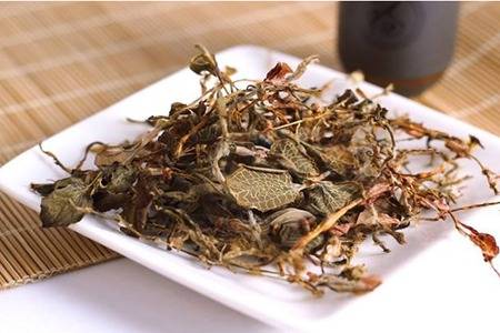 金线莲的作用(林下金线莲的作用)