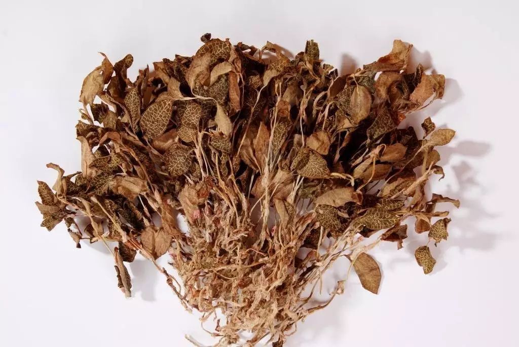 金线莲的作用(林下金线莲的作用)