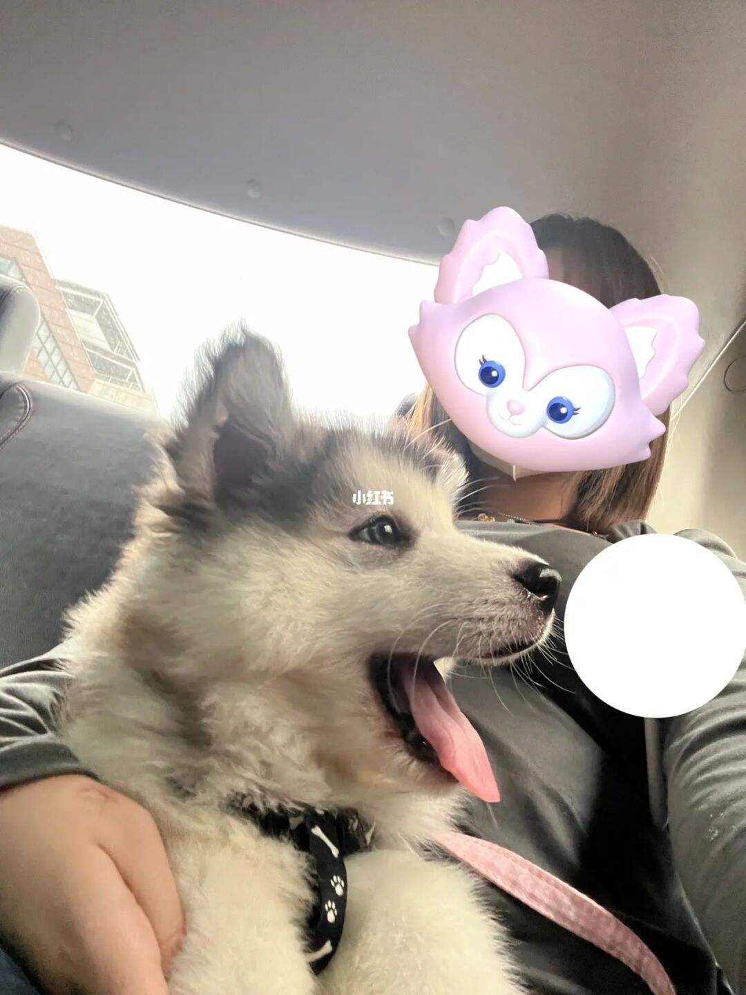 阿拉斯加时间(阿拉斯加时间哪个时区)