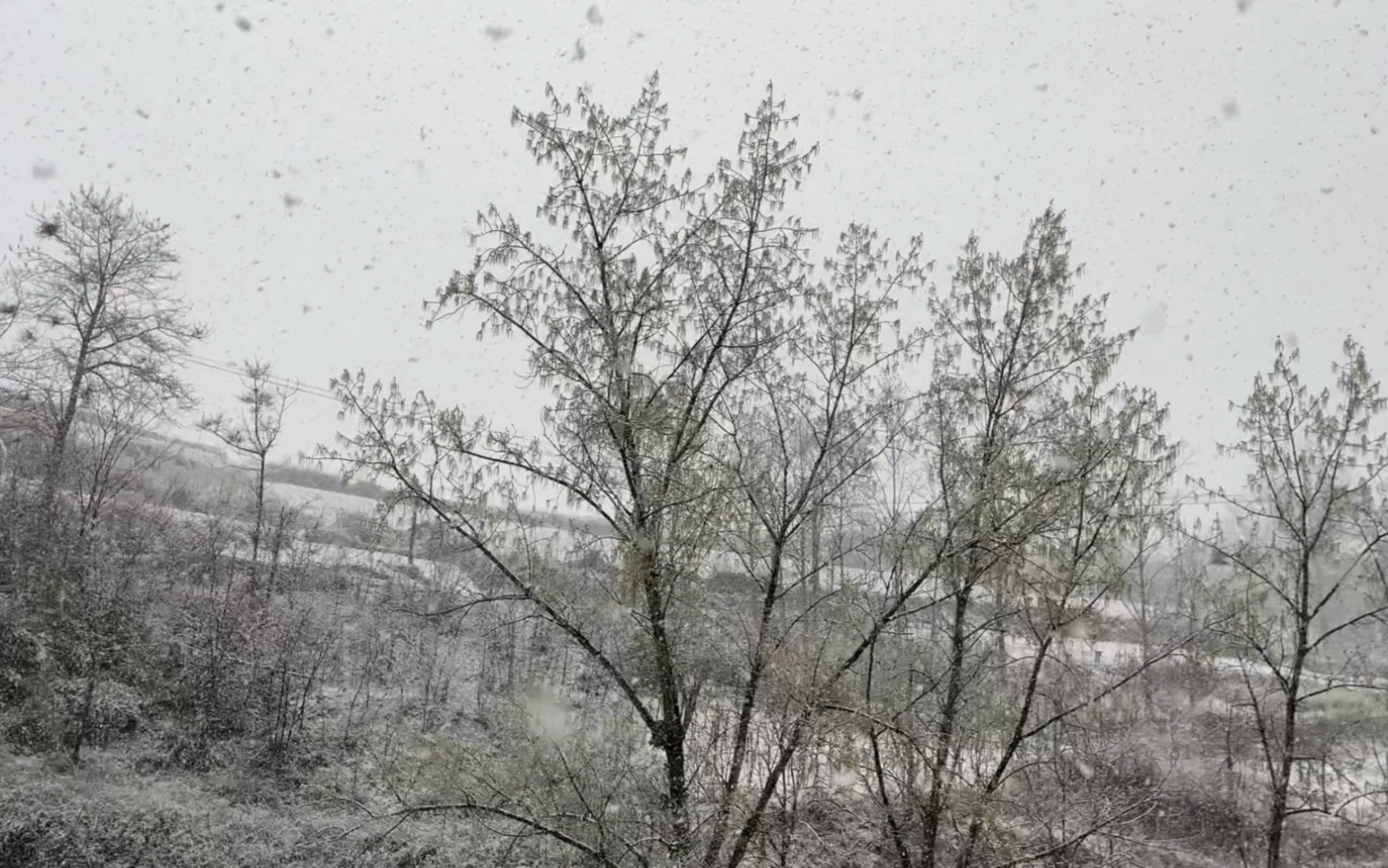 河南下雪吗(河南下雪吗2022)