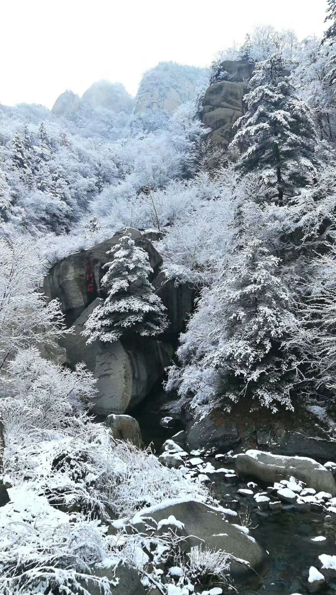 河南下雪吗(河南下雪吗2022) 河南下雪吗(河南下雪吗2022)