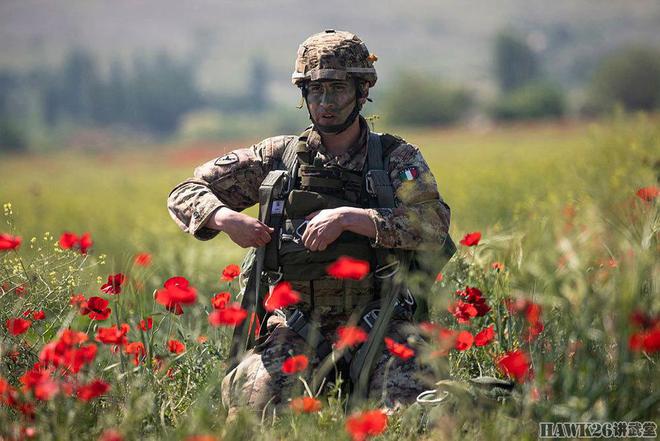 英国陆军(英国陆军以什么著称)