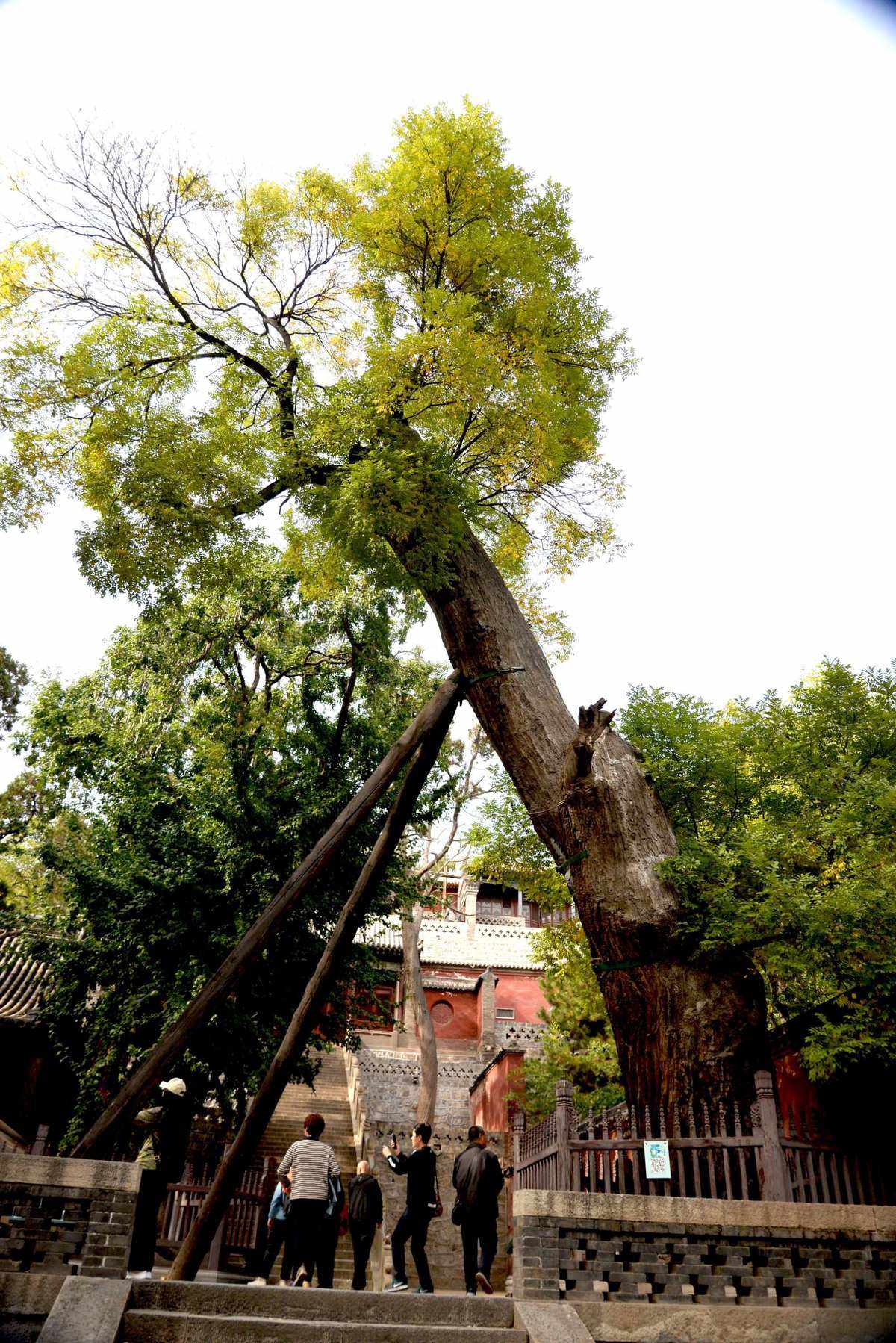 晋祠三绝(晋祠三绝指的是) 晋祠三绝(晋祠三绝指的是)