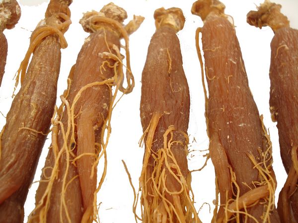 红参的功效与禁忌(红参的功效与禁忌副作用)