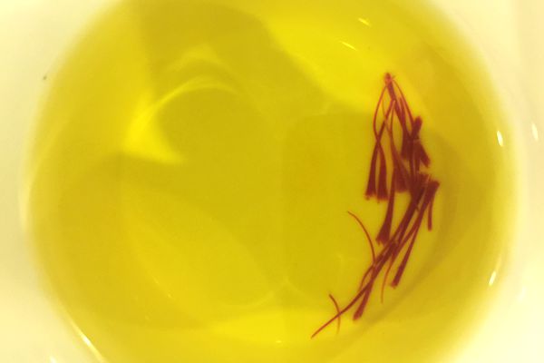 藏红花泡水喝的功效与作用及禁忌(藏红花泡水喝的功效与作用及禁忌老年女人)