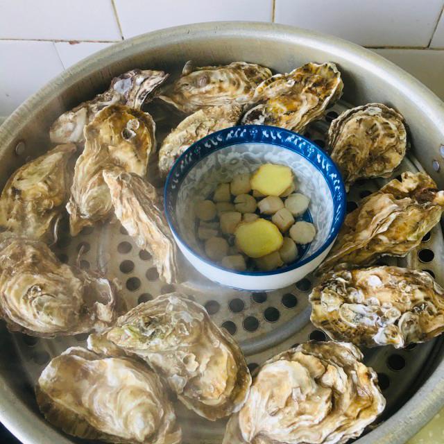 生蚝要蒸多久(生蚝要蒸多长时间最好带壳) 生蚝要蒸多久(生蚝要蒸多长时间最好带壳)