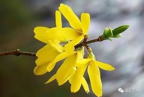 左权县的来历(左权县的来历和传说) 左权县的来历(左权县的来历和传说)