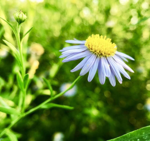 无忧无虑网(中学语文无忧无虑网)