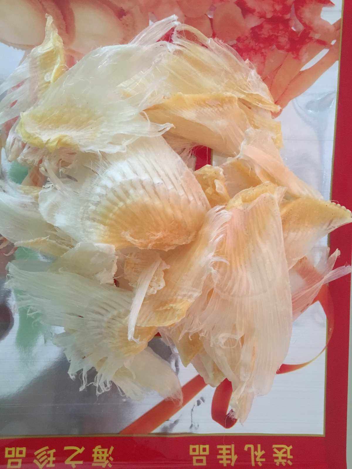 鱼翅的拼音(鱼翅的拼音组词) 鱼翅的拼音(鱼翅的拼音组词)