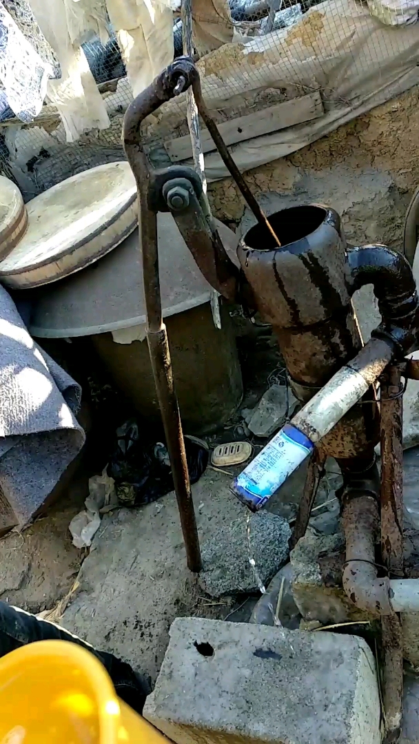 洋井(洋井集团钱明)