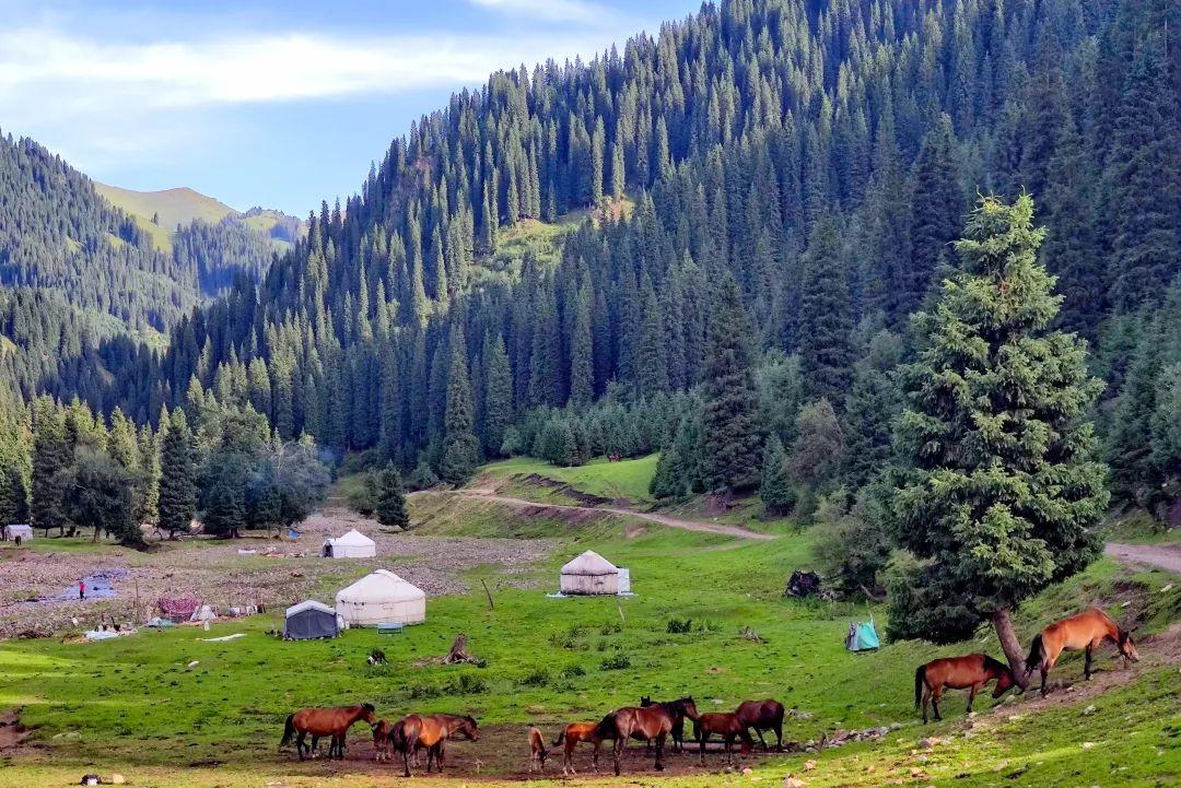 伊犁怎么读(新疆伊犁怎么读)