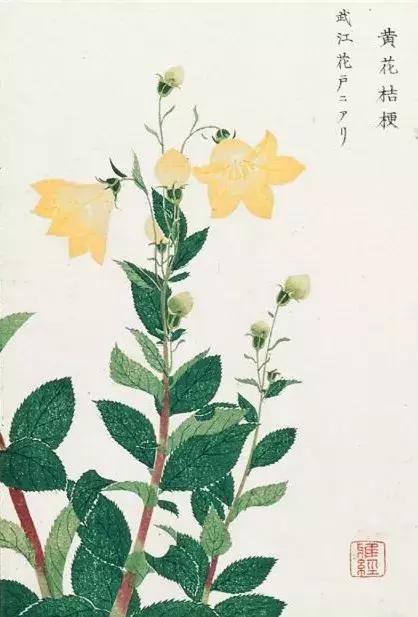 荣气(荣气和者,外不谐是什么意思)