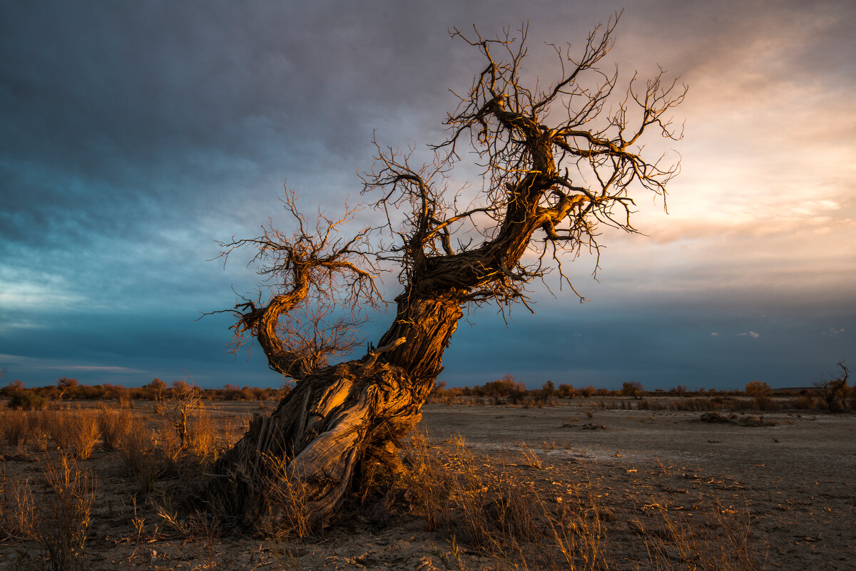 心目(心目中的好老师是什么样子的)